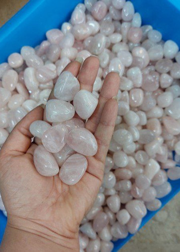 تامبل رزکوارتز(دونه)