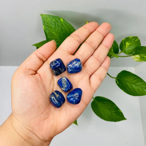 تامبل لاجورد افغان (دونه)